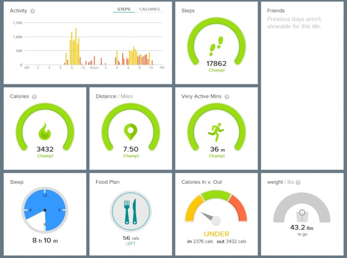 fitbitdashboard